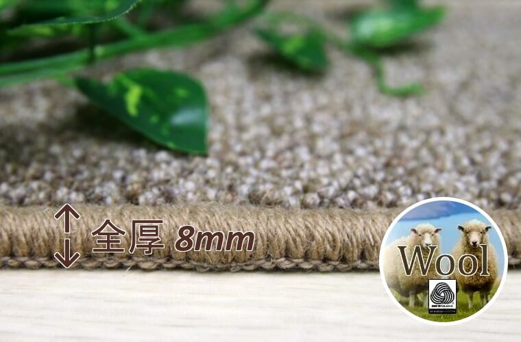 毛(新毛):100% 粒の大きさ 約2~3mm ループパイル:6mm/全厚8mm