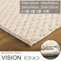 商品名:VISION/ビジョン
