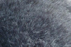 FURGGY/ファーギー ファーラグ・カーペットの生地拡大画像