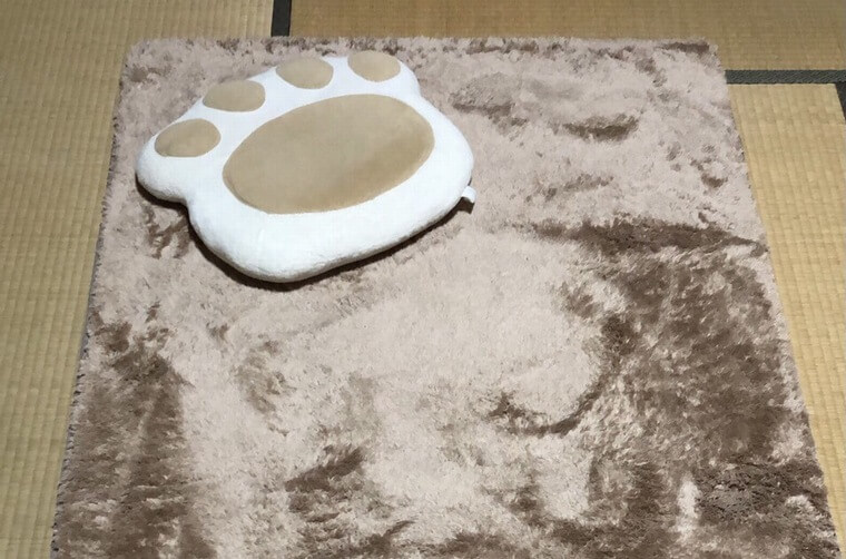 くっきー2580さんからのラグ シャギー SAMMY/サミーの投稿写真
