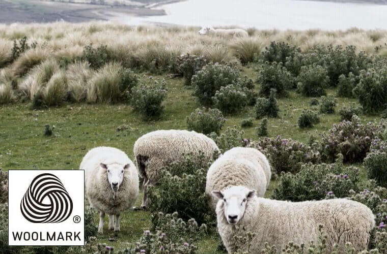 ウール 100％：ニュージーランド産羊毛