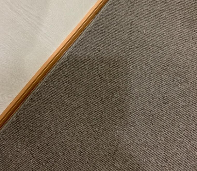 souさんからのカーペット 薄手 MUVA/ムーヴァの投稿写真
