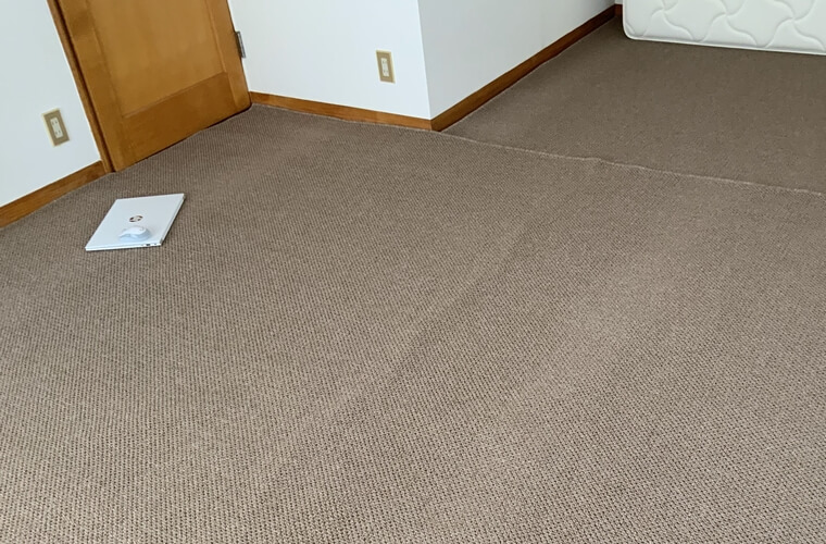 いぐぽんさんからのカーペット 遊び毛防止  FRIPE/フライプの投稿写真