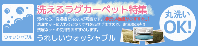 ウォッシャブル