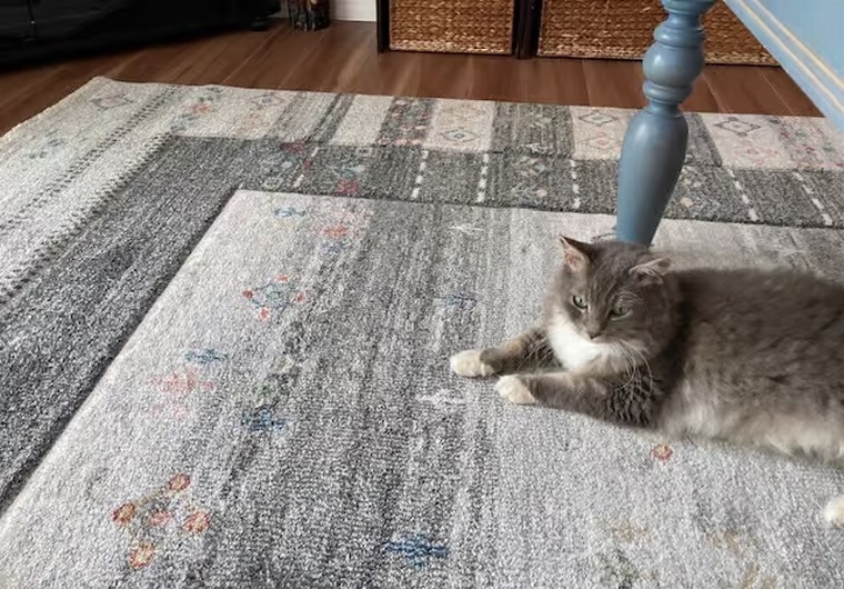 2023年12月20 ご購入者様からの投稿お写真