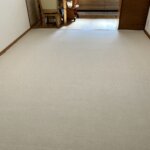 『FLAMY/フレミィ』カーペット・絨毯