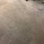 ESTA/エスタ レビュー画像2 2