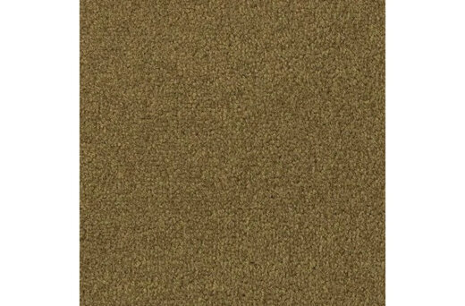 キャメル 製品詳細画像
