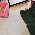 MORURU/モルル レビュー画像2 2