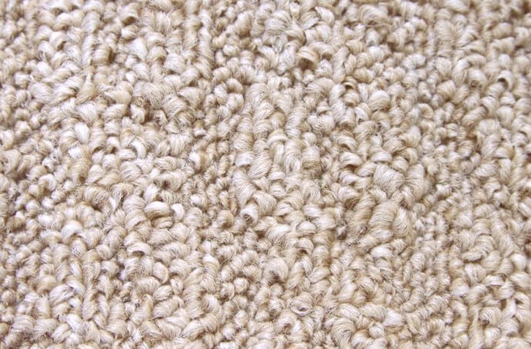 PE54