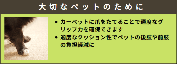 股関節が弱いペット