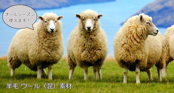 羊毛ウール