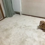 MOUSSE/ムース レビュー画像2 2