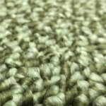 shade/シェード 1