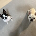 CORONE/コロネ 2024年3月18日 ご購入者様からの投稿お写真 2