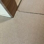 MUVA/ムーヴァ 変形絨毯　2023/12/23 レビュー画像② 2