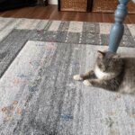 ARES/アレス トルコ製カーペット レビュー画像④ 2